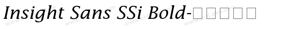 Insight Sans SSi Bold字体转换